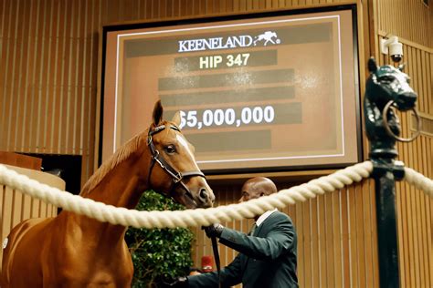 keeneland sales results|Keeneland September Yearling Sale Roars to Finish with Record Gross.